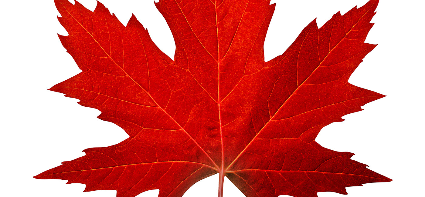 Maple leaf!''