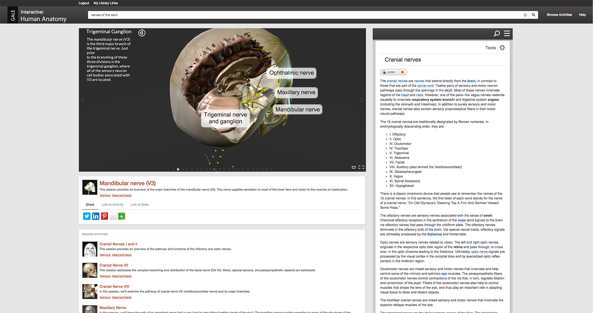 Guided lessons in Gale Interactive: Human Anatomy.