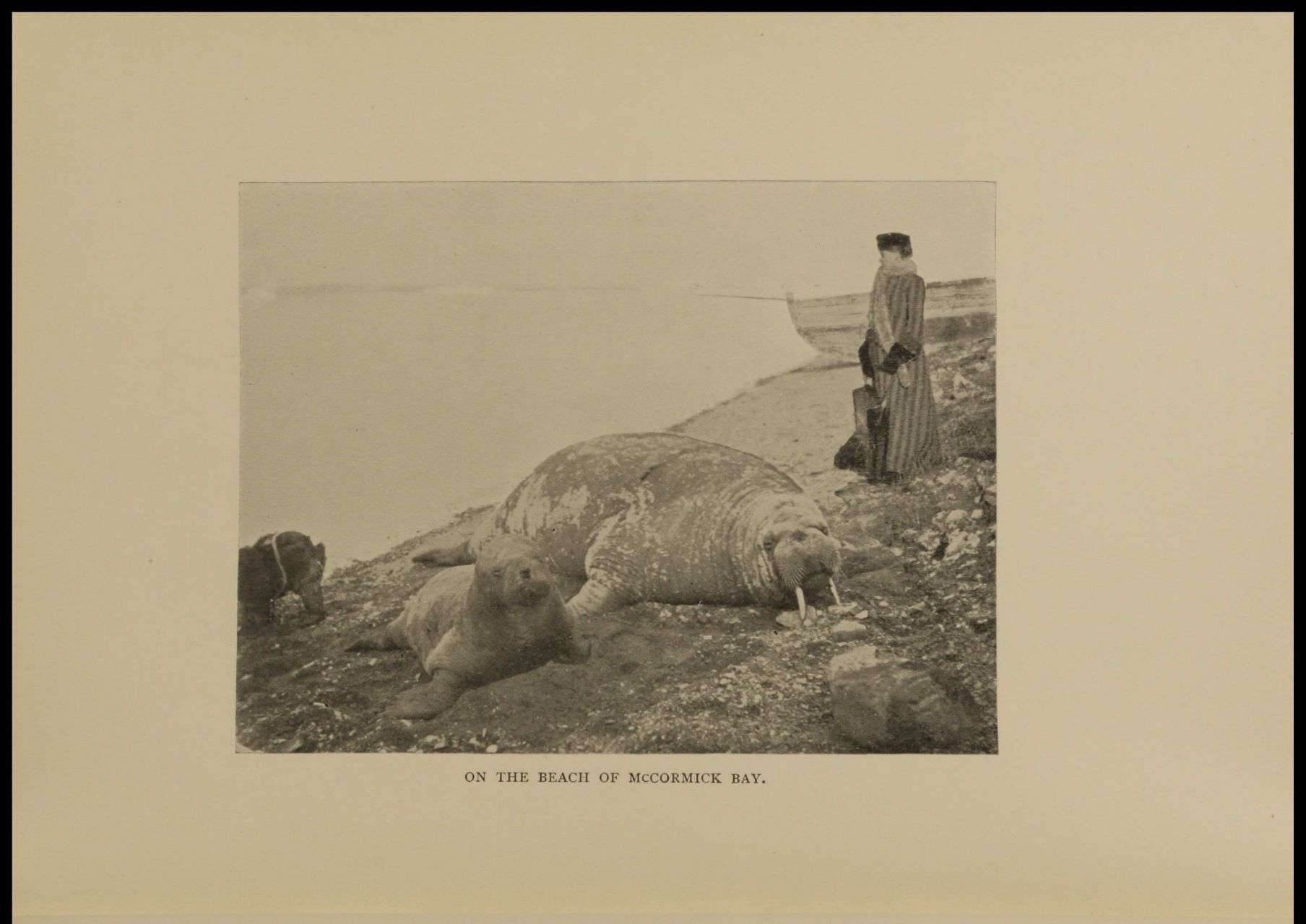 Peary, Josephine Diebitsch, and Robert Edwin Peary. My Arctic journal: a year among ice-fields and Eskimos: by Josephine Diebitsch-Peary; with an account of the great white journey across Greenland, by Robert E. Peary. The Contemporary Publishing Company, 1893. Women's Studies Archive, https://link-gale-com.ezproxyberklee.flo.org/apps/doc/QMTVHH323807754/WMNS?u=webdemo&sid=WMNS&xid=ca76ca1e&pg=4